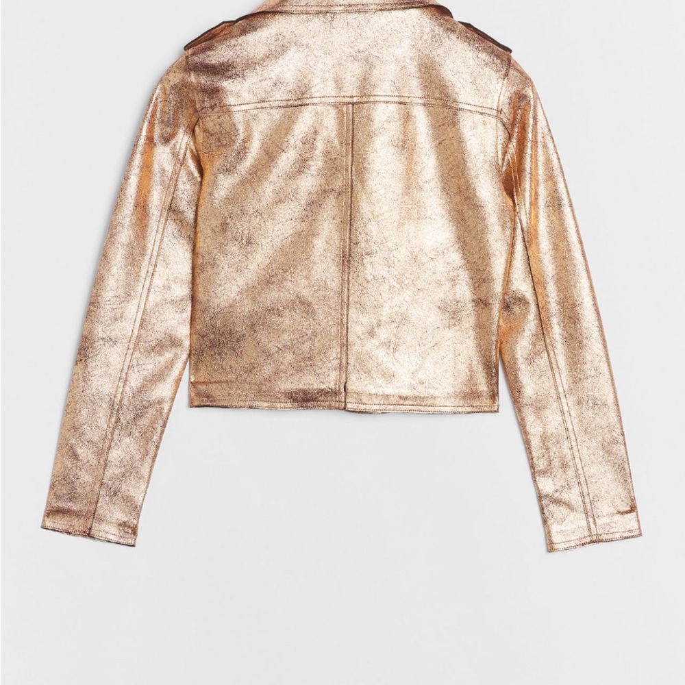 🌟NWT🌟 Anthropologie Brisa Metallic Faux Leather Cropped Moto Jacket - Picture 4 of 7